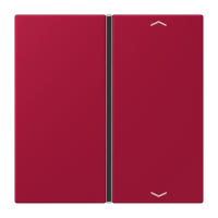 Cover 1-gang with symbols LC32100 - JUNG (pavadinimas tikslinamas)