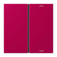 Cover 1-gang with symbols LC32101 - JUNG (pavadinimas tikslinamas)