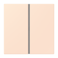 Cover kit 2-gang, complete LC32082 - JUNG (pavadinimas tikslinamas)