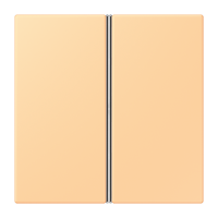 Cover kit 2-gang, complete LC4320P - JUNG (pavadinimas tikslinamas)