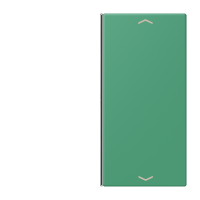 Cover 2-gang with symbols LC4320G - JUNG (pavadinimas tikslinamas)