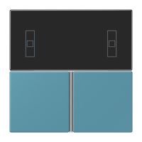 Cover kit, complete LC32031 - JUNG (pavadinimas tikslinamas)