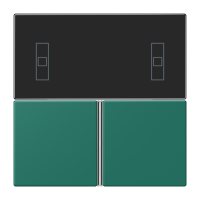 Cover kit, complete LC32040 - JUNG (pavadinimas tikslinamas)