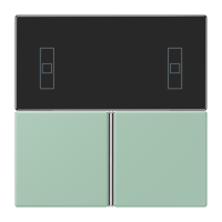 Cover kit, complete LC32041 - JUNG (pavadinimas tikslinamas)