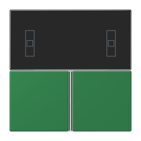 Cover kit, complete LC32050 - JUNG (pavadinimas tikslinamas)