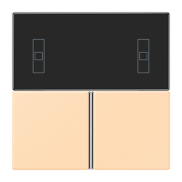 Cover kit, complete LC32060 - JUNG (pavadinimas tikslinamas)