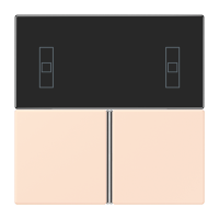 Cover kit, complete LC32082 - JUNG (pavadinimas tikslinamas)