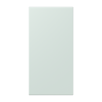 centre plate LC32034 - JUNG (pavadinimas tikslinamas)