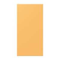 centre plate LC4320L - JUNG (pavadinimas tikslinamas)