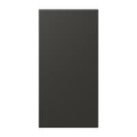 centre plate LC4320R - JUNG (pavadinimas tikslinamas)