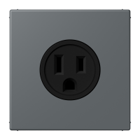 Socket US NEMA system LC32010 - JUNG (pavadinimas tikslinamas)