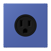 Socket US NEMA system LC32020 - JUNG (pavadinimas tikslinamas)