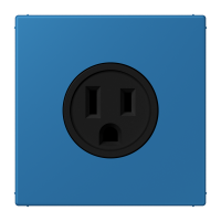 Socket US NEMA system LC32030 - JUNG (pavadinimas tikslinamas)