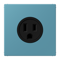Socket US NEMA system LC32031 - JUNG (pavadinimas tikslinamas)