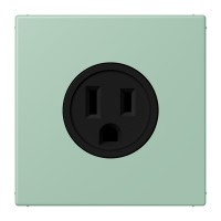 Socket US NEMA system LC32041 - JUNG (pavadinimas tikslinamas)