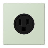 Socket US NEMA system LC32042 - JUNG (pavadinimas tikslinamas)