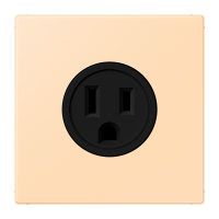 Socket US NEMA system LC32060 - JUNG (pavadinimas tikslinamas)