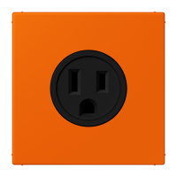 Socket US NEMA system LC32080 - JUNG (pavadinimas tikslinamas)
