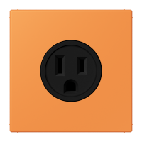 Socket US NEMA system LC32081 - JUNG (pavadinimas tikslinamas)