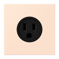 Socket US NEMA system LC32082 - JUNG (pavadinimas tikslinamas)