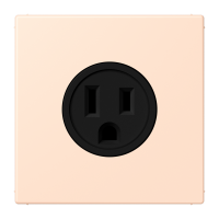 Socket US NEMA system LC32091 - JUNG (pavadinimas tikslinamas)