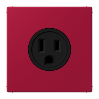 Socket US NEMA system LC32100 - JUNG (pavadinimas tikslinamas)
