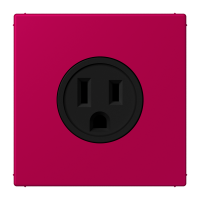Socket US NEMA system LC32101 - JUNG (pavadinimas tikslinamas)