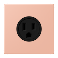 Socket US NEMA system LC32102 - JUNG (pavadinimas tikslinamas)