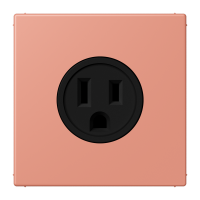 Socket US NEMA system LC32111 - JUNG (pavadinimas tikslinamas)