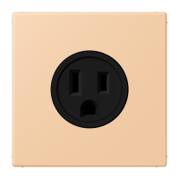 Socket US NEMA system LC32122 - JUNG (pavadinimas tikslinamas)