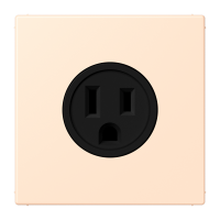 Socket US NEMA system LC32123 - JUNG (pavadinimas tikslinamas)
