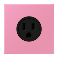 Socket US NEMA system LC4320C - JUNG (pavadinimas tikslinamas)