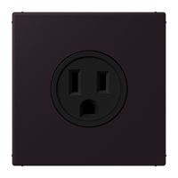 Socket US NEMA system LC4320E - JUNG (pavadinimas tikslinamas)