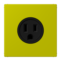 Socket US NEMA system LC4320F - JUNG (pavadinimas tikslinamas)