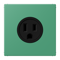 Socket US NEMA system LC4320G - JUNG (pavadinimas tikslinamas)