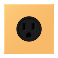 Socket US NEMA system LC4320L - JUNG (pavadinimas tikslinamas)