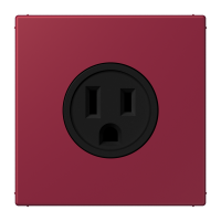 Socket US NEMA system LC4320M - JUNG (pavadinimas tikslinamas)