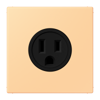 Socket US NEMA system LC4320P - JUNG (pavadinimas tikslinamas)