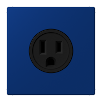 Socket US NEMA system LC4320T - JUNG (pavadinimas tikslinamas)