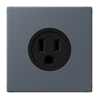 Socket US NEMA system LC4320U - JUNG (pavadinimas tikslinamas)