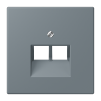 centre pl.f.2-gang mod. jack sockets LC4 - JUNG (pavadinimas tikslinamas)
