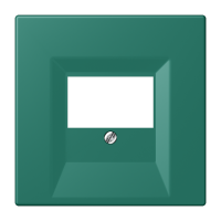 centre plate for TAE-socket LC32040 - JUNG (pavadinimas tikslinamas)
