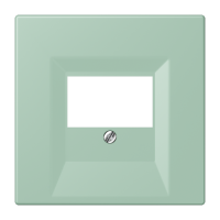 centre plate for TAE-socket LC32041 - JUNG (pavadinimas tikslinamas)