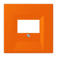 centre plate for TAE-socket LC32080 - JUNG (pavadinimas tikslinamas)