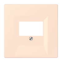 centre plate for TAE-socket LC32082 - JUNG (pavadinimas tikslinamas)
