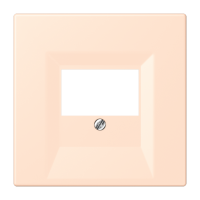 centre plate for TAE-socket LC32091 - JUNG (pavadinimas tikslinamas)