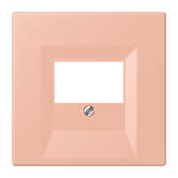centre plate for TAE-socket LC32102 - JUNG (pavadinimas tikslinamas)