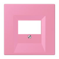 centre plate for TAE-socket LC4320C - JUNG (pavadinimas tikslinamas)