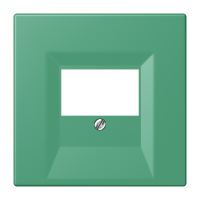 centre plate for TAE-socket LC4320G - JUNG (pavadinimas tikslinamas)