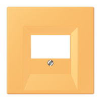 centre plate for TAE-socket LC4320L - JUNG (pavadinimas tikslinamas)
